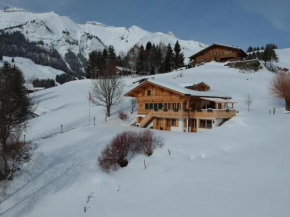 Luxury Chalet with Spa and stunning views